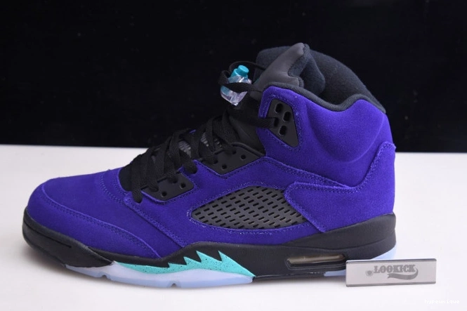 HYPE 5 136027-500 Alternate Grape Jordan Air Retro 0811